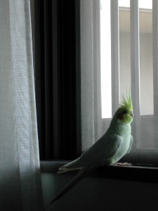DSCN1051